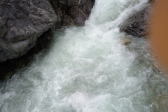IMG_20230819_182828