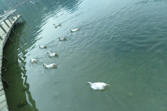 IMG_20230815_202656