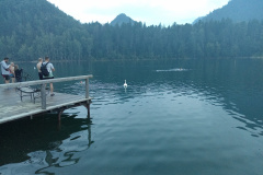 IMG_20230815_202739